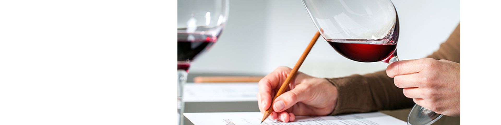 Œnologie : Les routes des vins avec Sabrina - JEUDI 18h30