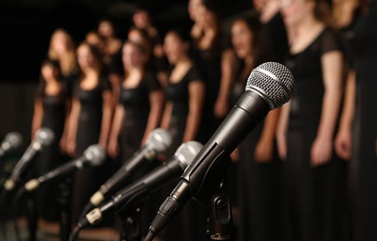Projet musical CHANT Cabrel